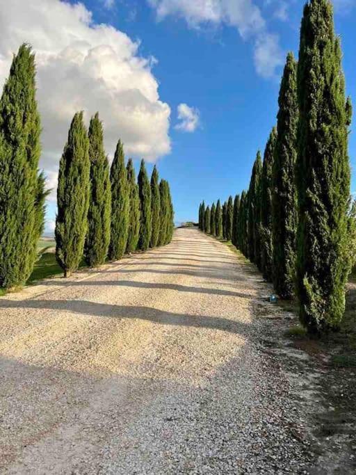 Toscana Amore Mio, Stunning View & 14Min Volterra モンテカティーニ・ヴァル・ディ・チェーチナ エクステリア 写真